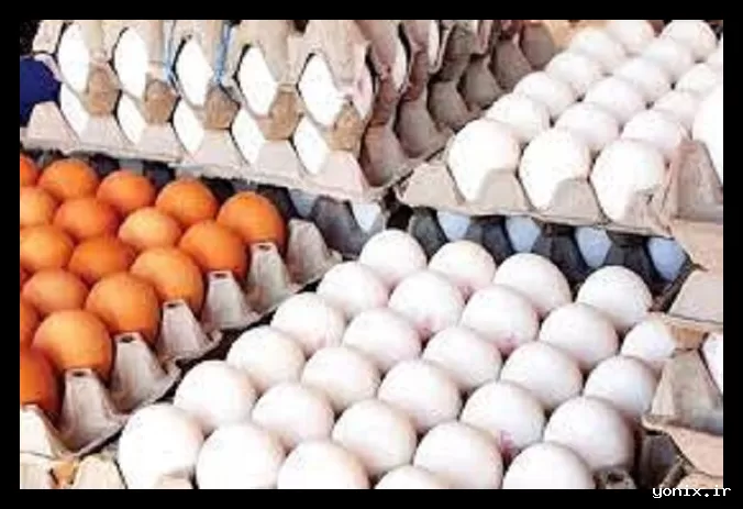 کاهش قیمت تخم‌مرغ به حدود ۱۳ هزار تومان در بازار